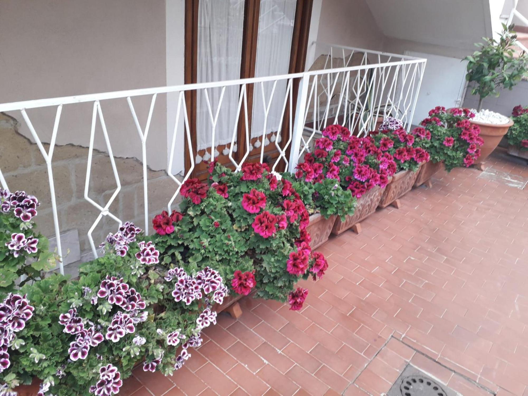 Apartment La Bouganville House *