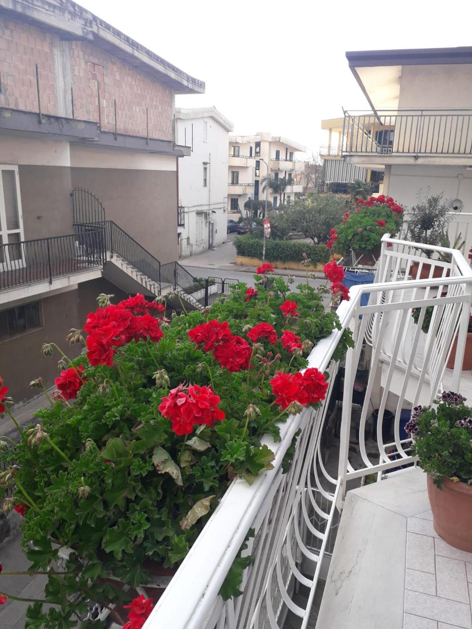 La Bouganville House Apartment